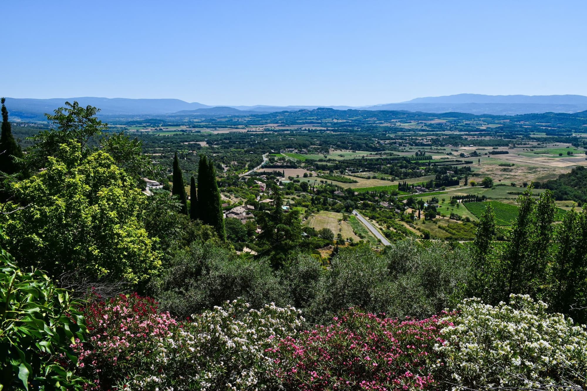 Breathtaking view of Provence-Alpes-Côte d'Azur's lush landscape with vibrant flora.