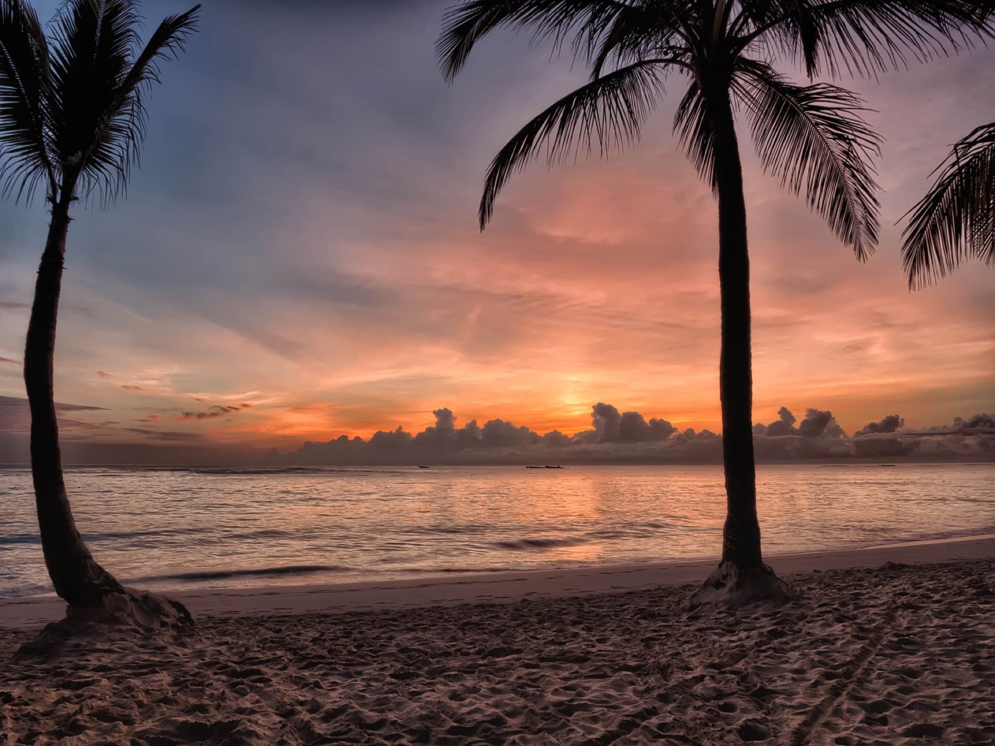 Beautiful sunset over Punta Cana beach with palm trees and tranquil ocean view.