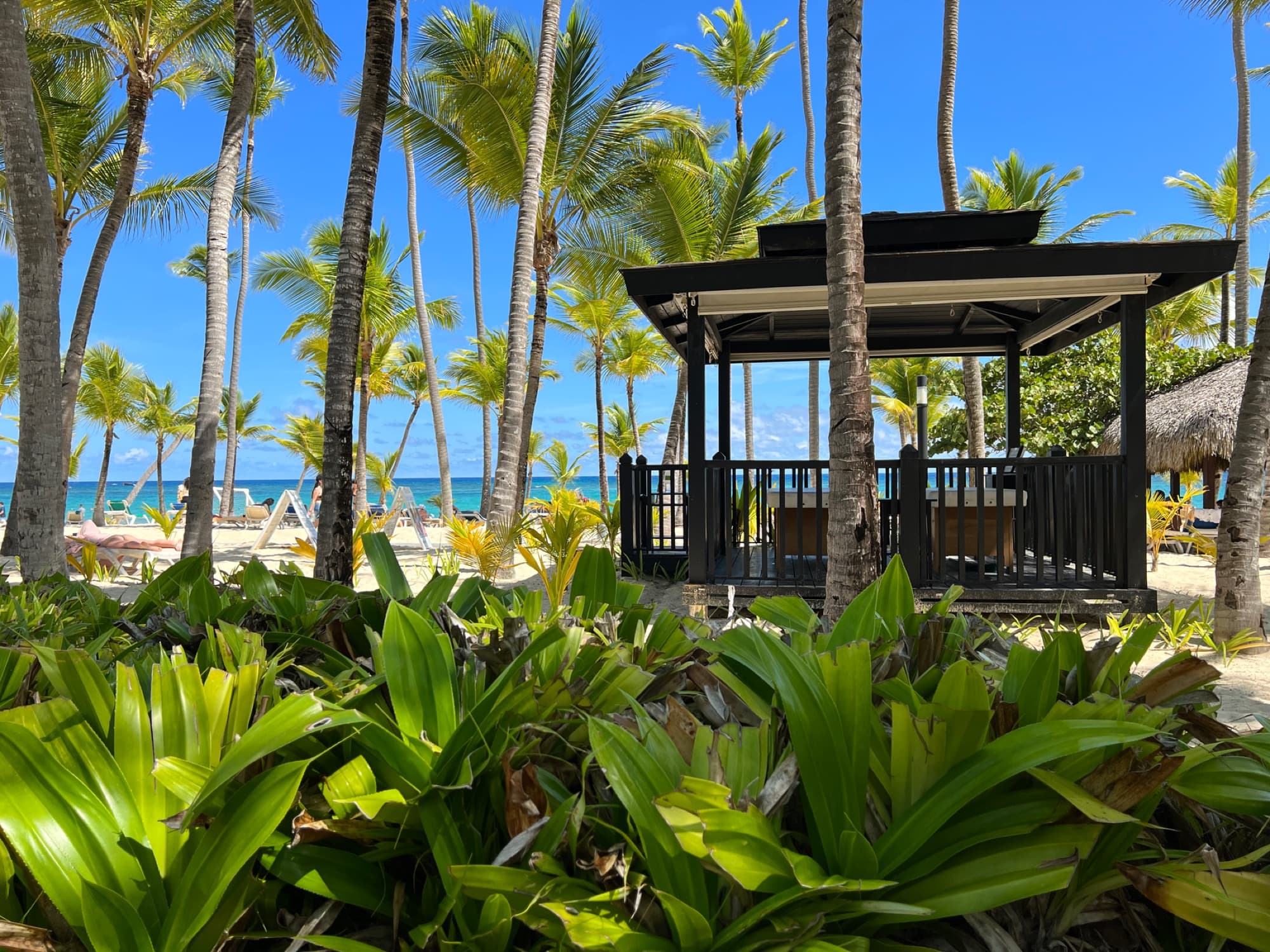 Relaxing tropical scene with a gazebo surrounded by palm trees on a sunny Punta Cana beach.