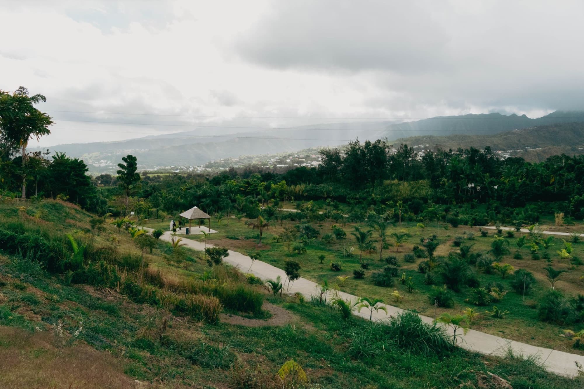 Scenic view of verdant hills and a path winding through a tropical landscape on La Réunion Island.