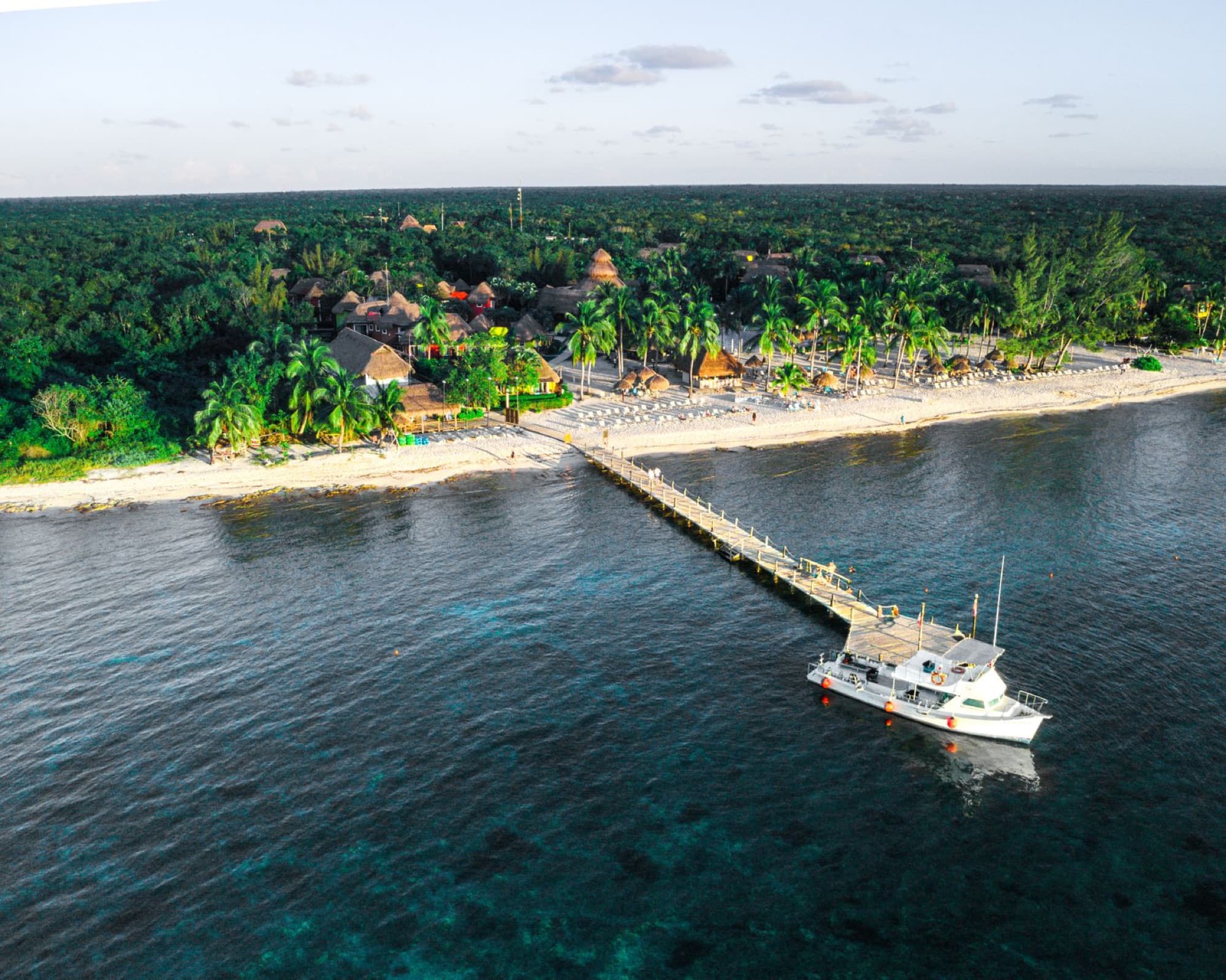 A serene aerial shot of a tropical beach in San José, Mexico, highlighting a pier, boat, and lush palm trees.