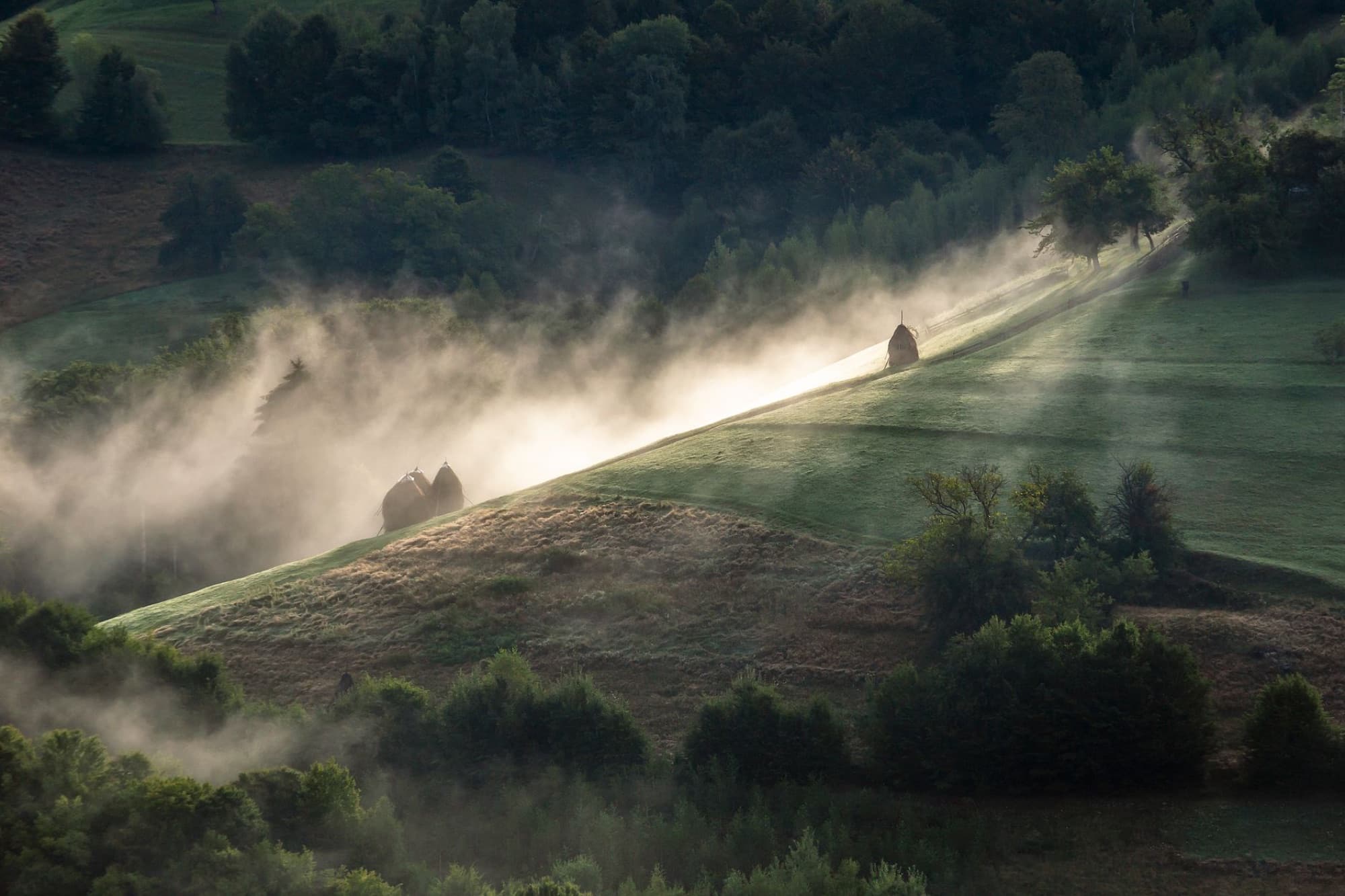 Serene misty landscape in Holbav, Romania at sunrise, highlighting rural tranquility.
