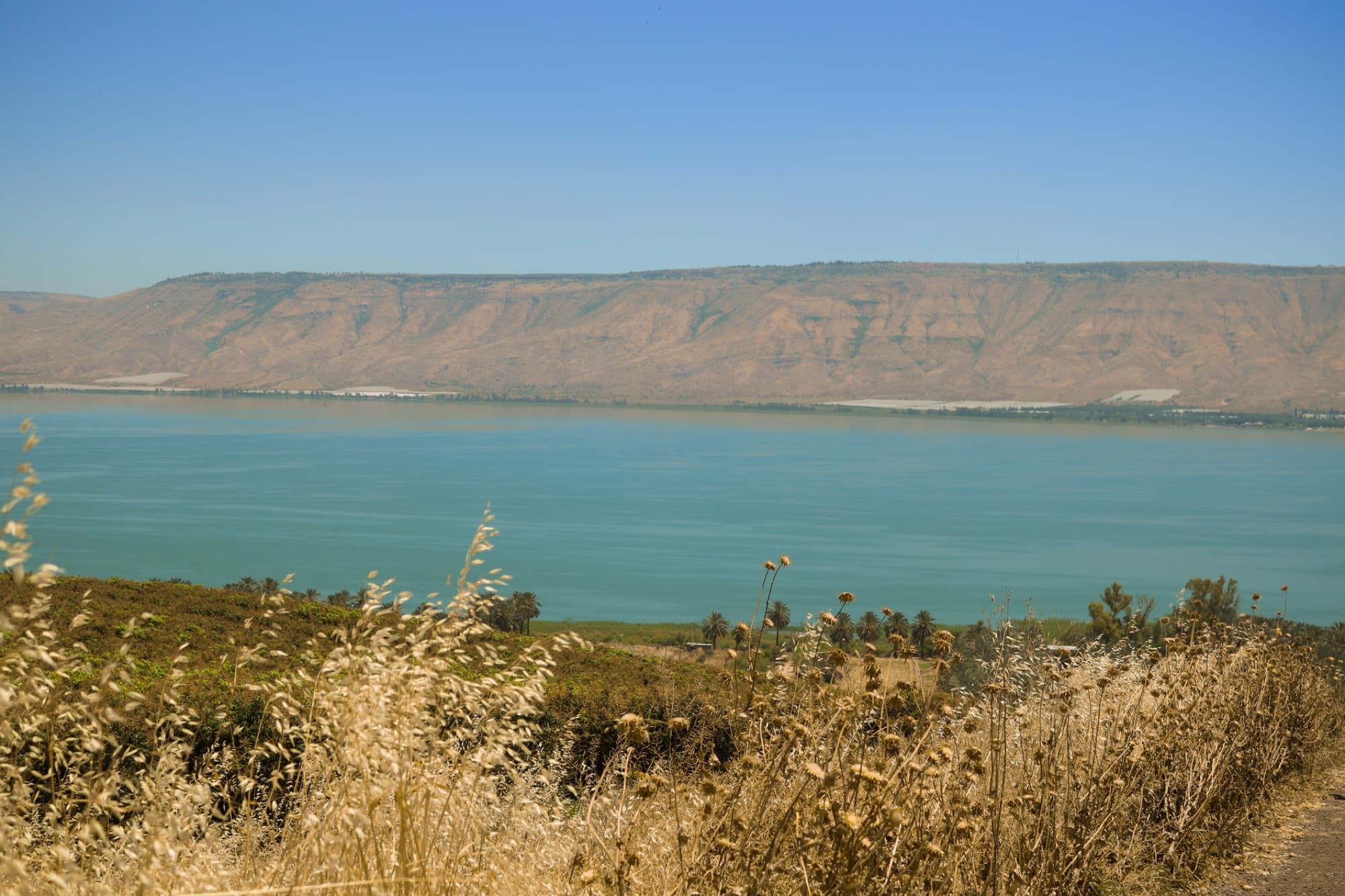 Explore a serene and scenic view of the Sea of Galilee surrounded by nature and mountains in Israel.