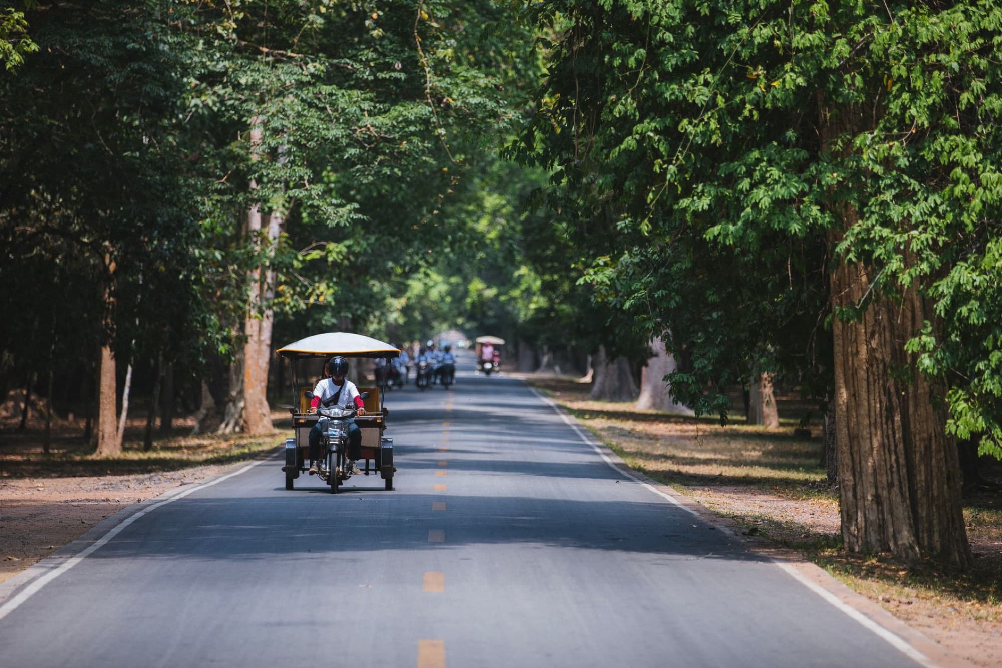 A tuk-tuk drives down a peaceful, tree-lined road in Siem Reap, Cambodia, on a sunny day.