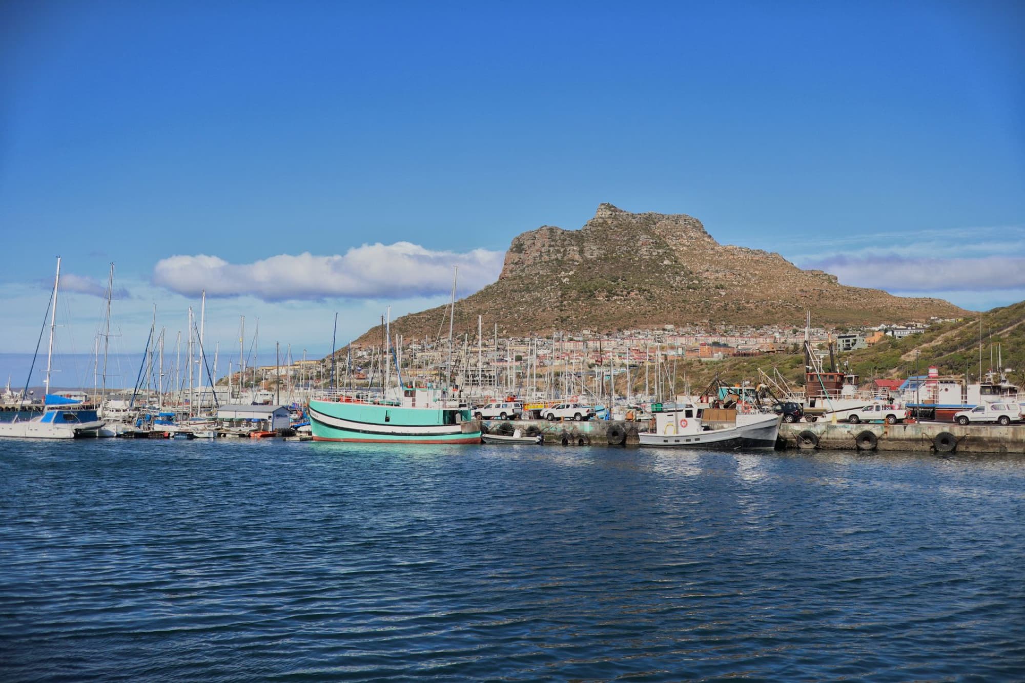 Scenic view of Hout Bay harbor with colorful boats and mountain backdrop in South Africa.