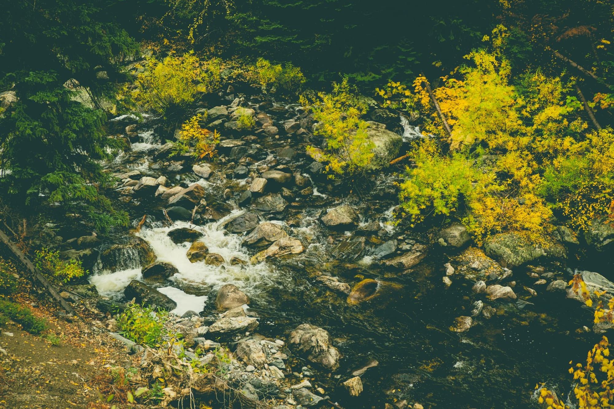 A tranquil creek surrounded by vibrant autumn foliage and rocks in Steamboat Springs, Colorado.