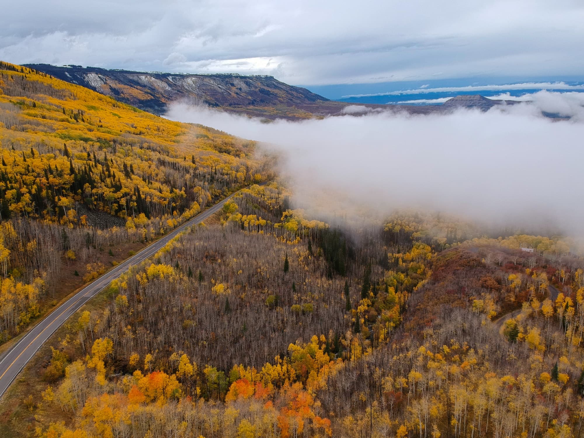 Stunning aerial view of autumn foliage and misty mountains in a scenic forest landscape.
