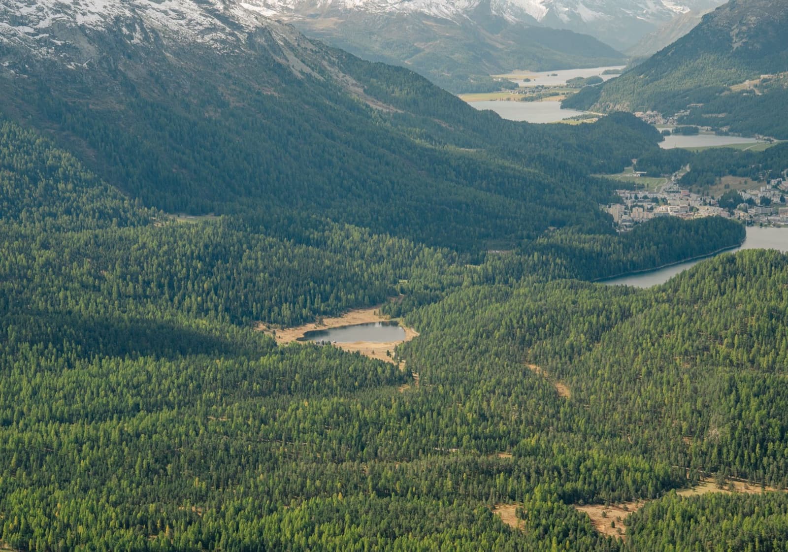 Stunning aerial landscape of Engadin Valley with lush forests and distant mountains in Graubünden, Switzerland.