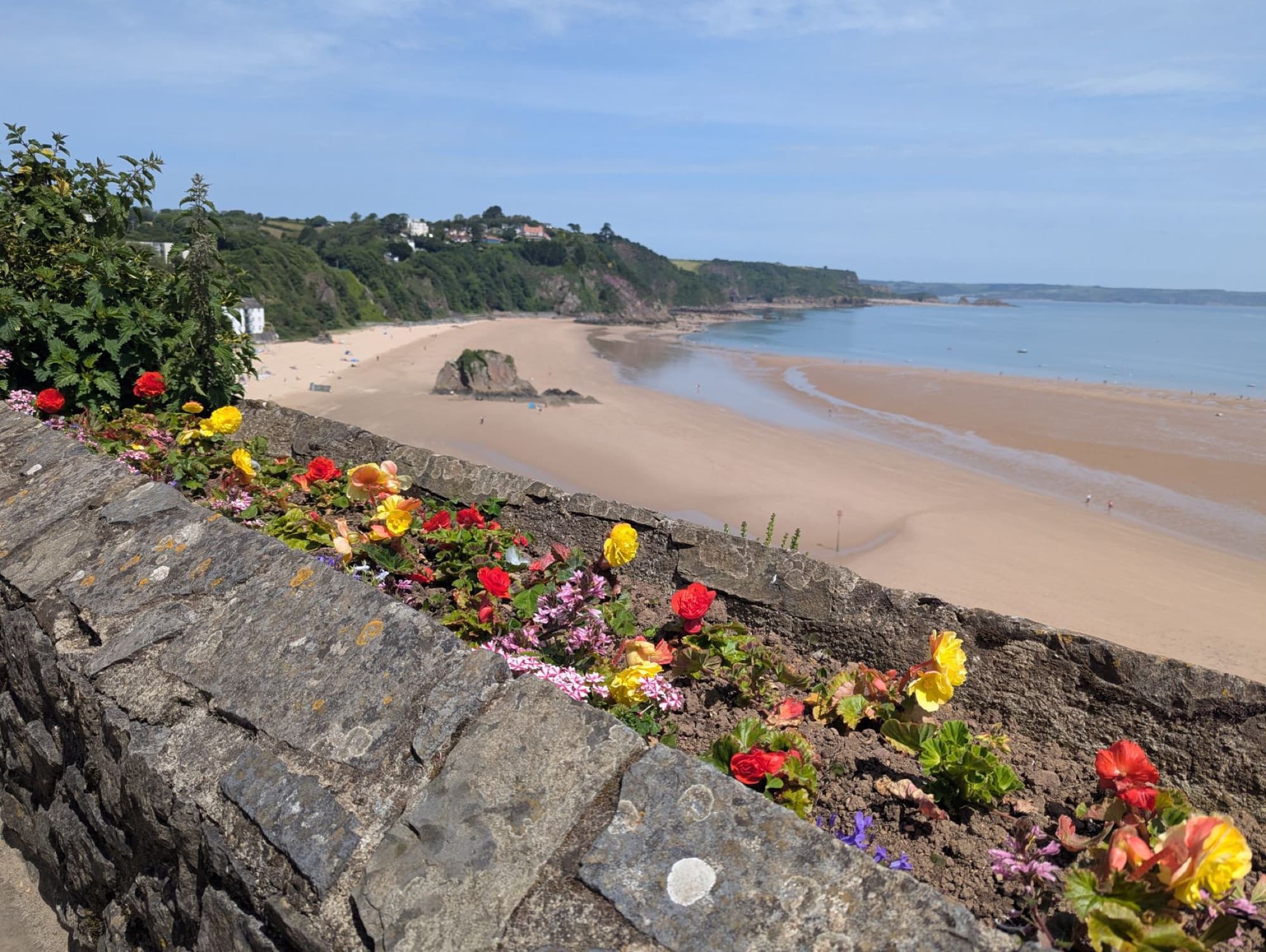 Explore the vibrant flowers and picturesque sandy beach of Tenby, Wales under a bright summer sky.