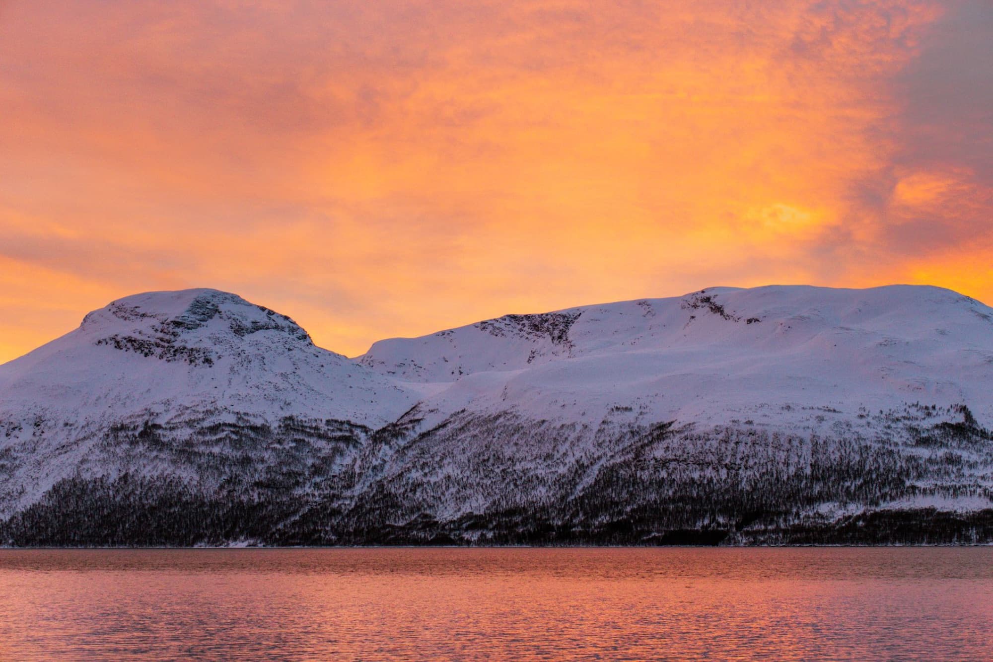 Snow-capped mountains reflect in tranquil bay at sunset in Laksvatn, Norway.
