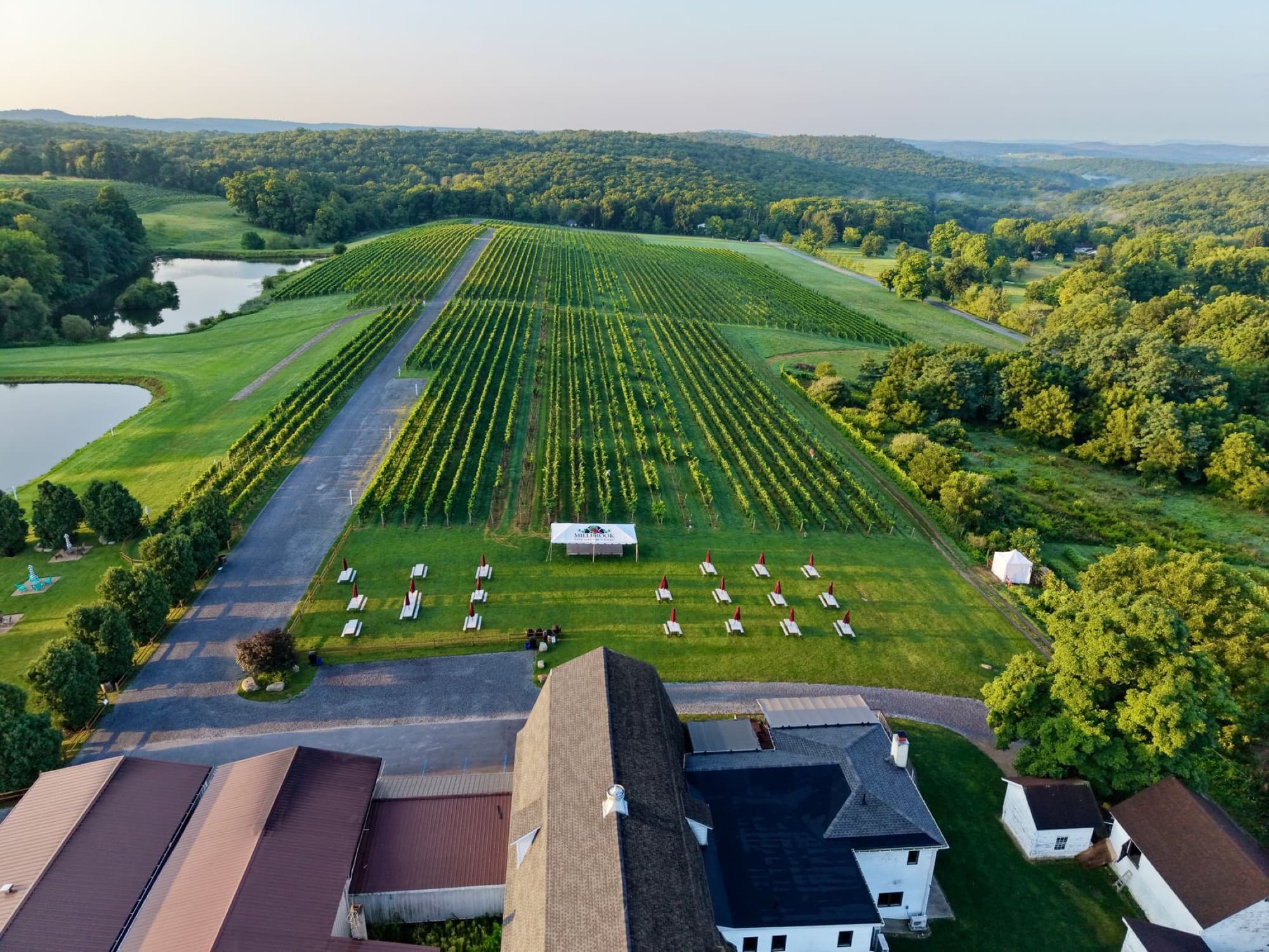 Scenic aerial view of a vineyard with lush greenery and a pond in New York's countryside.