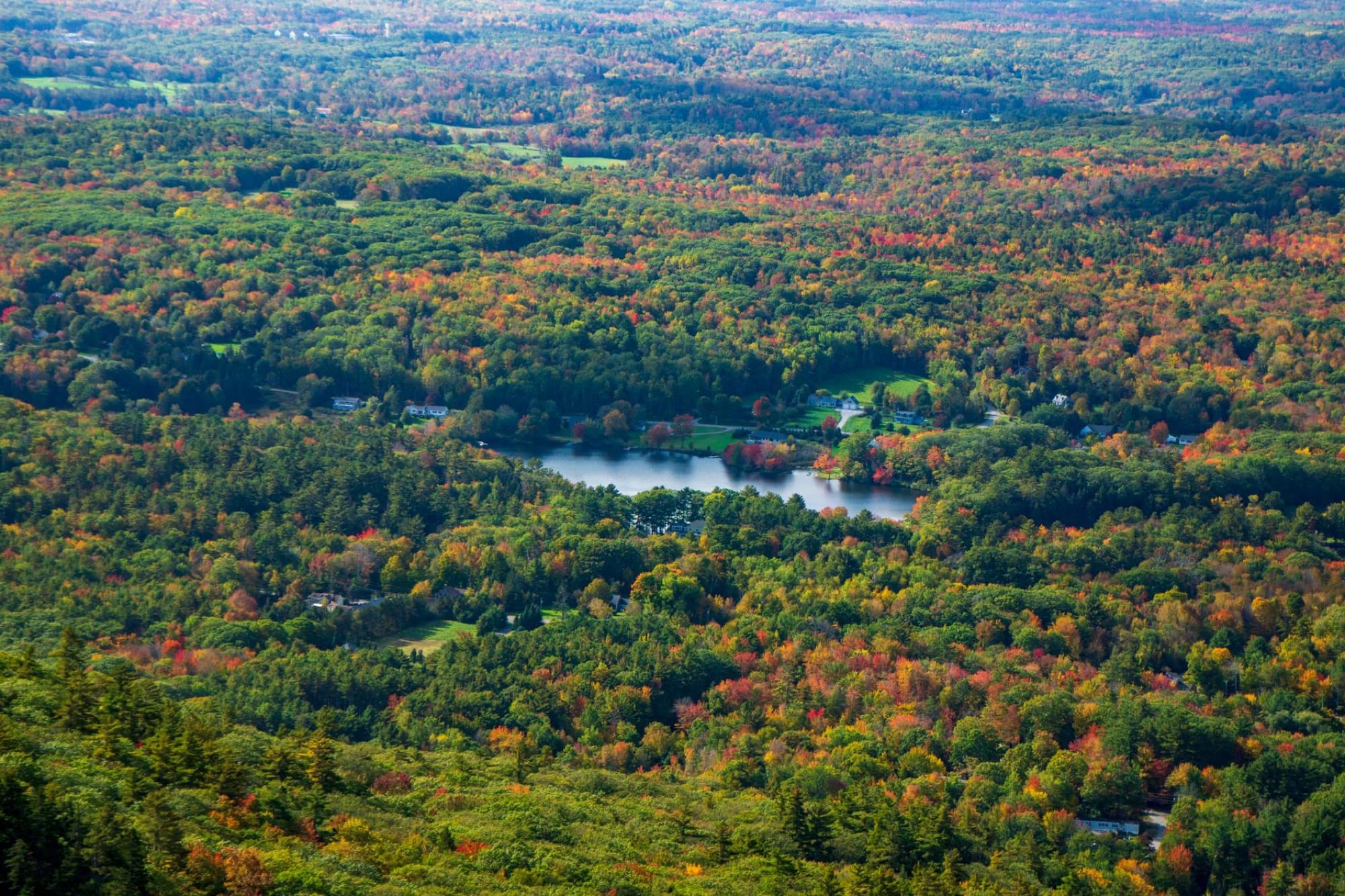 Stunning aerial view of a vibrant autumn forest with a winding river. Perfect for nature enthusiasts.