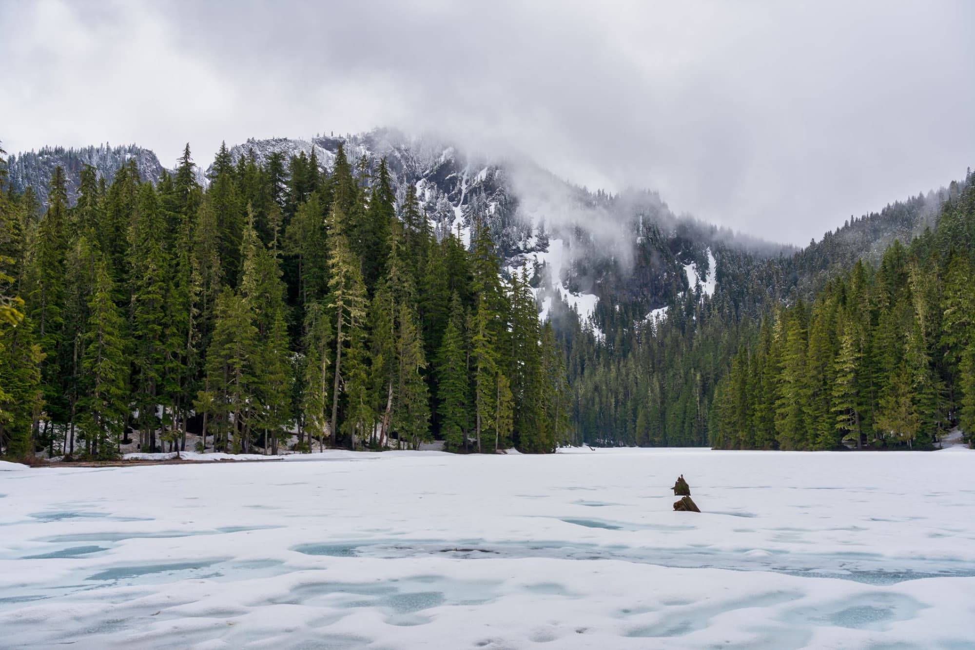 A serene winter landscape with snow, trees, and mountains in Washington State's wilderness.