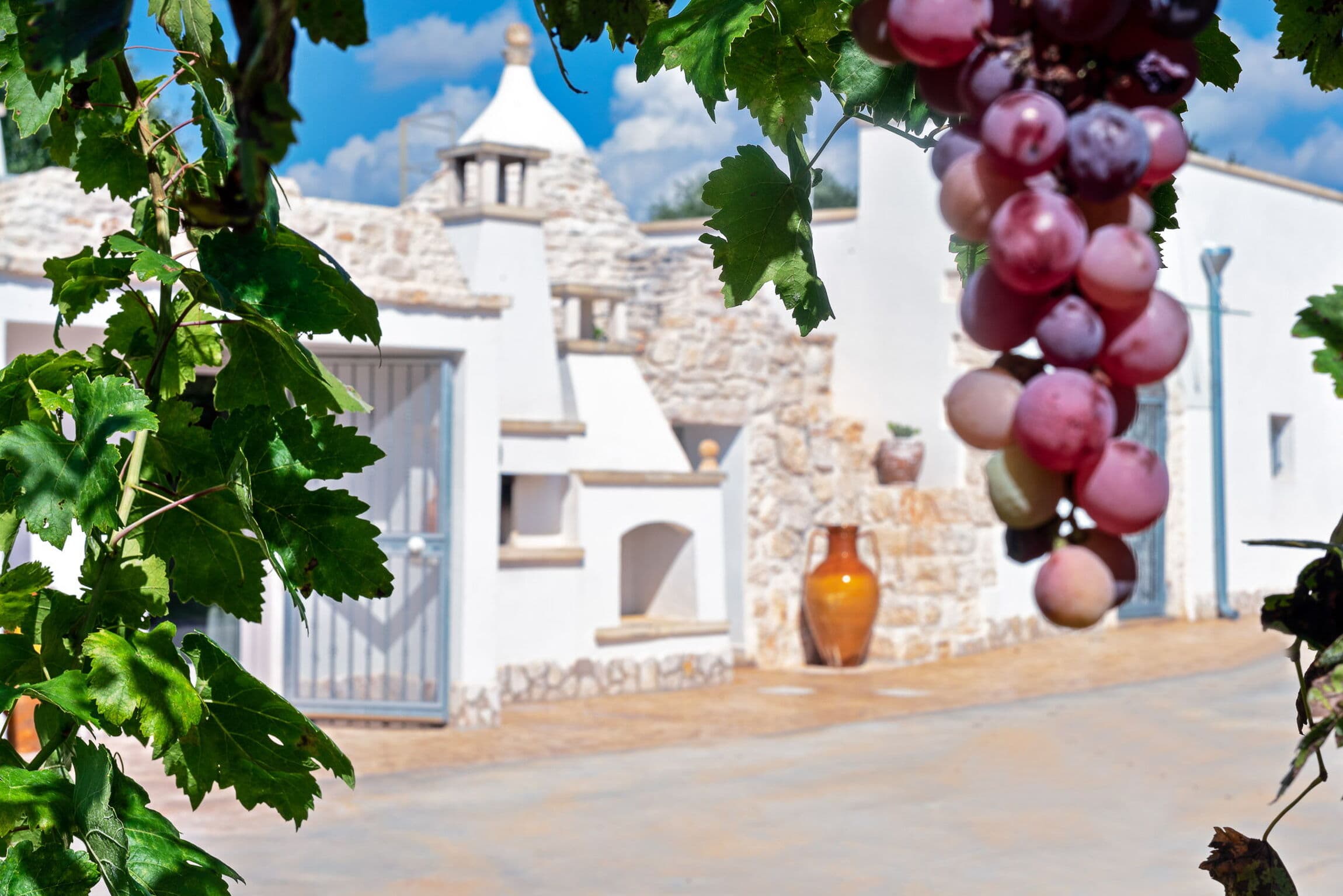 Traditional Trulli Villa in Ceglie Messapica photo 3
