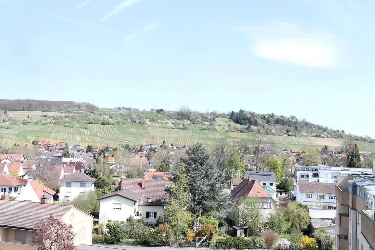 Luxury villas in Basel-City