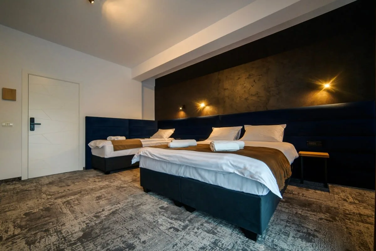 Luxury villas in Timisoara