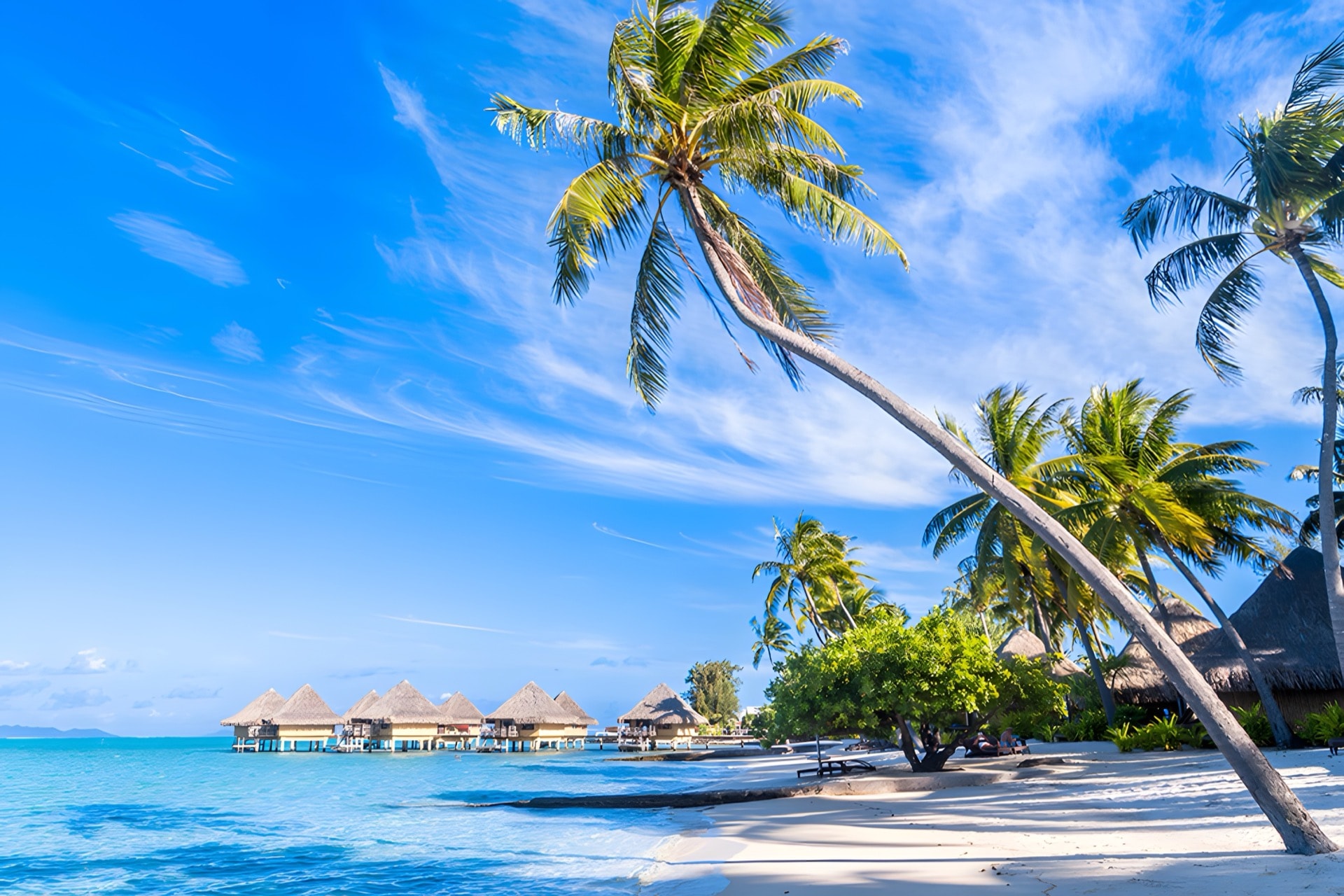 Luxury villas in Barbados