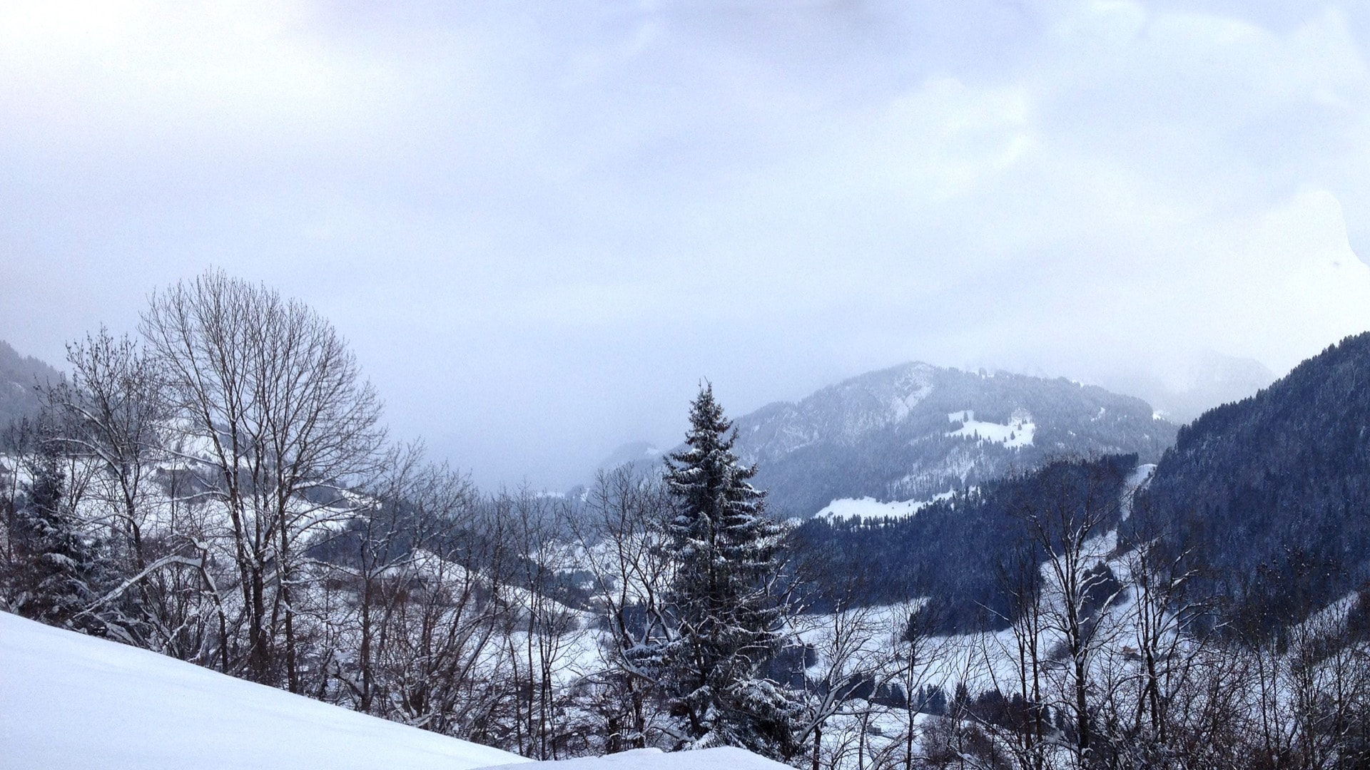 Luxury villas in Gstaad Region