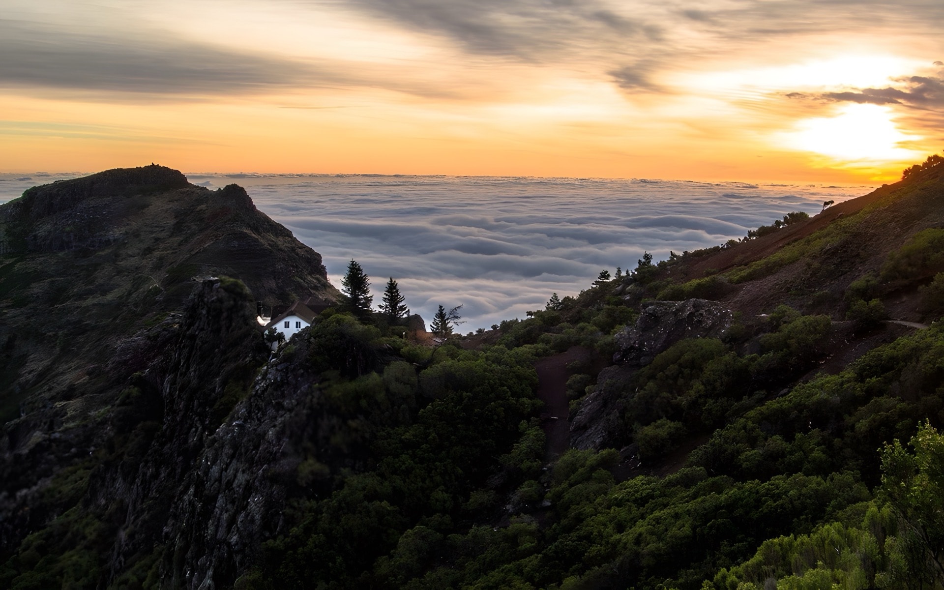 Luxury villas in Madeira