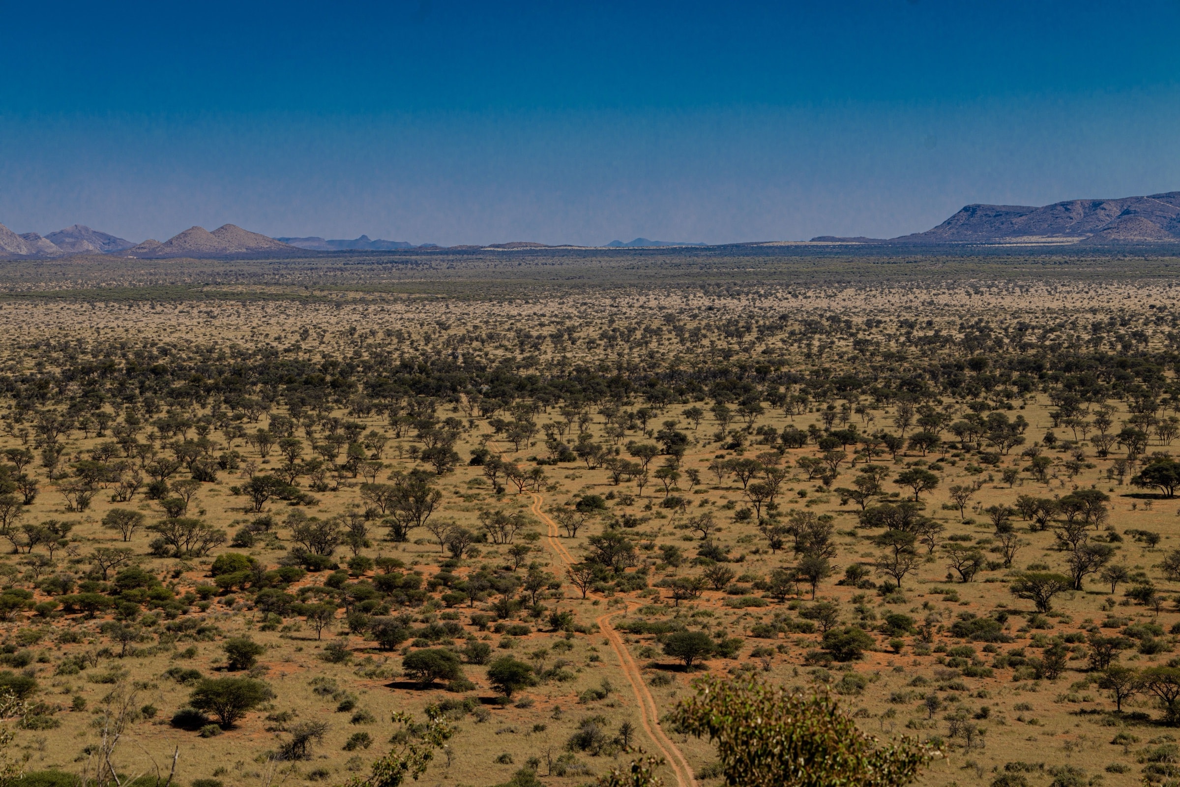 Luxury villas in Namibia