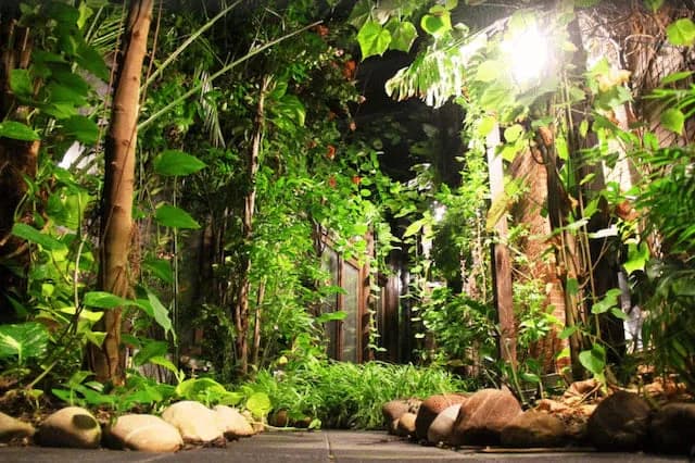 Top Rate 7 BR Villa with Tropical WInter Garden