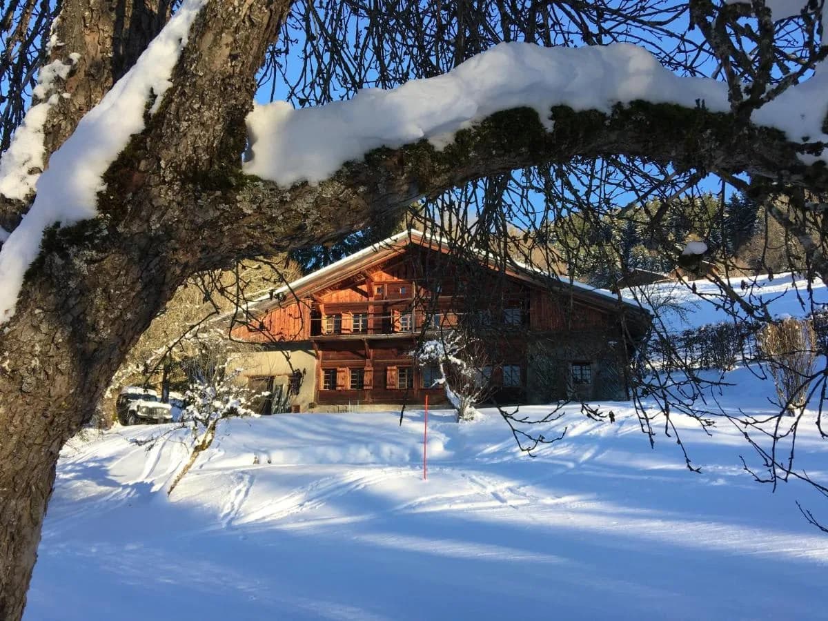 Magnificent Alpine Farmhouse with Ski Access